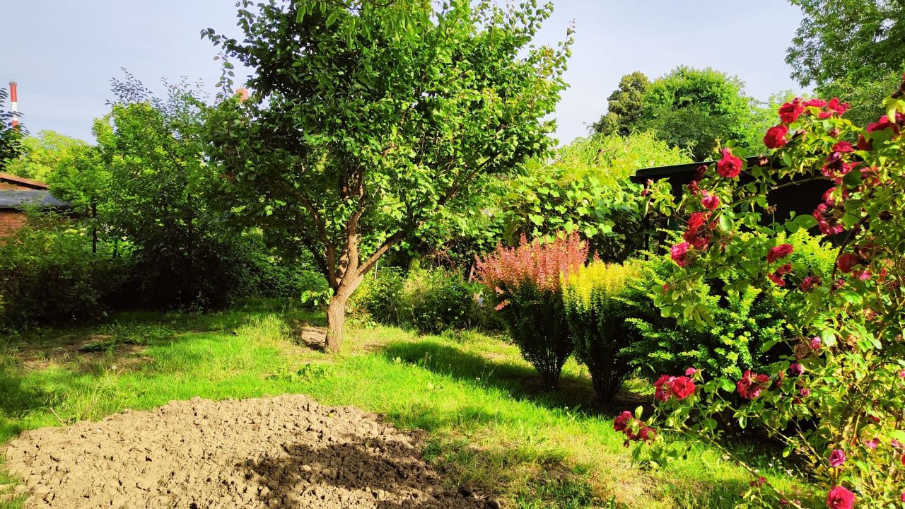 Działka rod Warszawa Siekierki, ul. Santocka. Zdjęcie 6