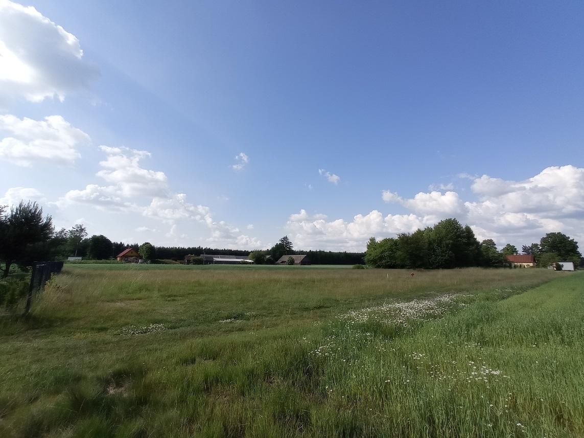 Działka budowlana Witoroż. Zdjęcie 2