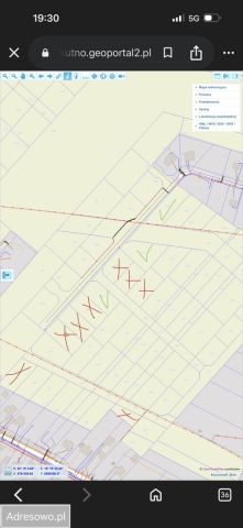 Działka budowlana Kutno, ul. Botaniczna. Zdjęcie 1