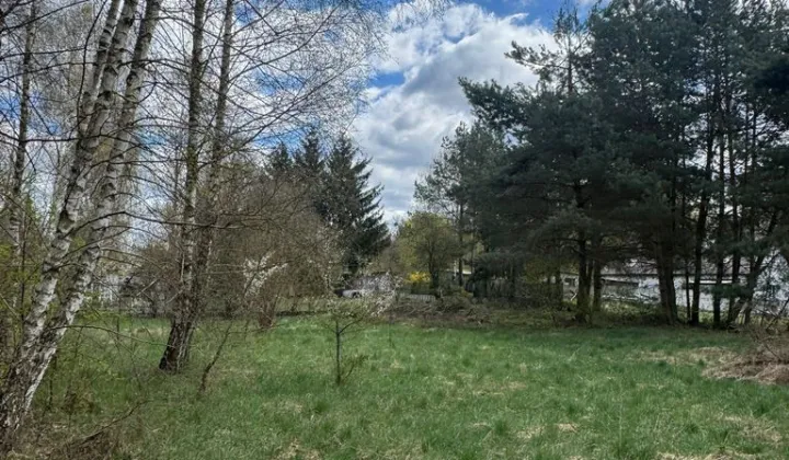 Działka budowlana Cierpice, ul. Leśna