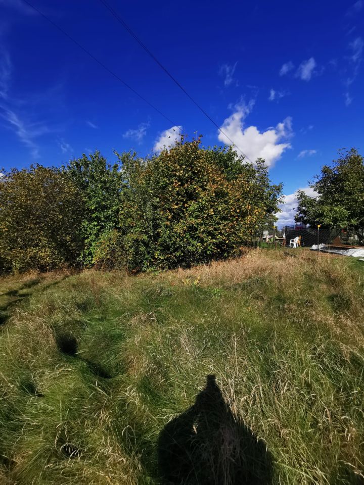 Działka budowlana Chociule. Zdjęcie 3