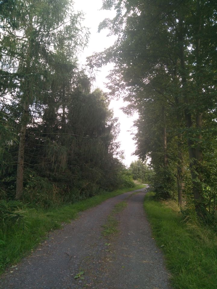 dom wolnostojący, 5 pokoi Janówka. Zdjęcie 37