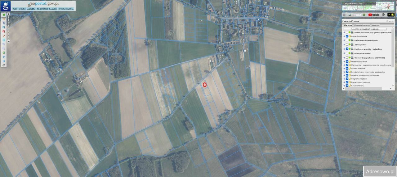 Działka rolna Strzeżewo. Zdjęcie 3