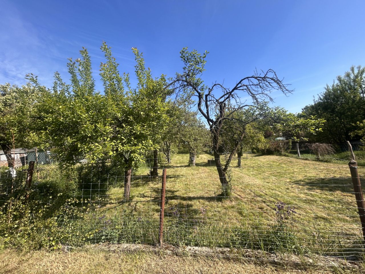 Działka rod Gorzów Wielkopolski Piaski, ul. Stefana Batorego. Zdjęcie 7