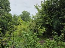 Działka rod Gliwice Trynek, ul. Feliksa Orlickiego. Zdjęcie 3