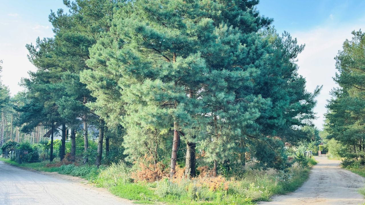 Działka budowlana Małszyce. Zdjęcie 2