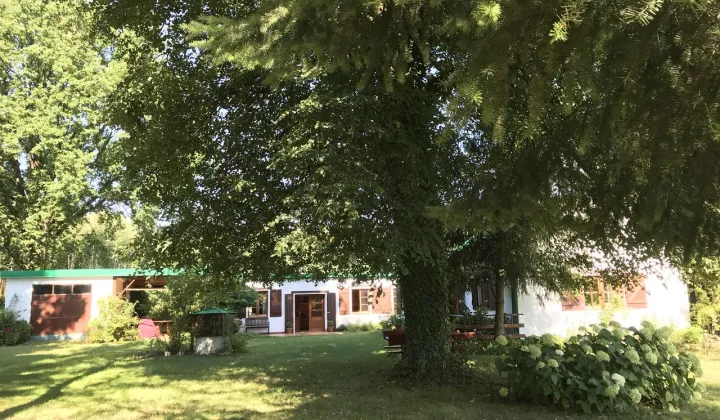 Działka budowlana Nosy-Poniatki