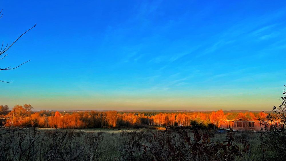Działka budowlana Rokitno Szlacheckie, ul. Szlachecka. Zdjęcie 7