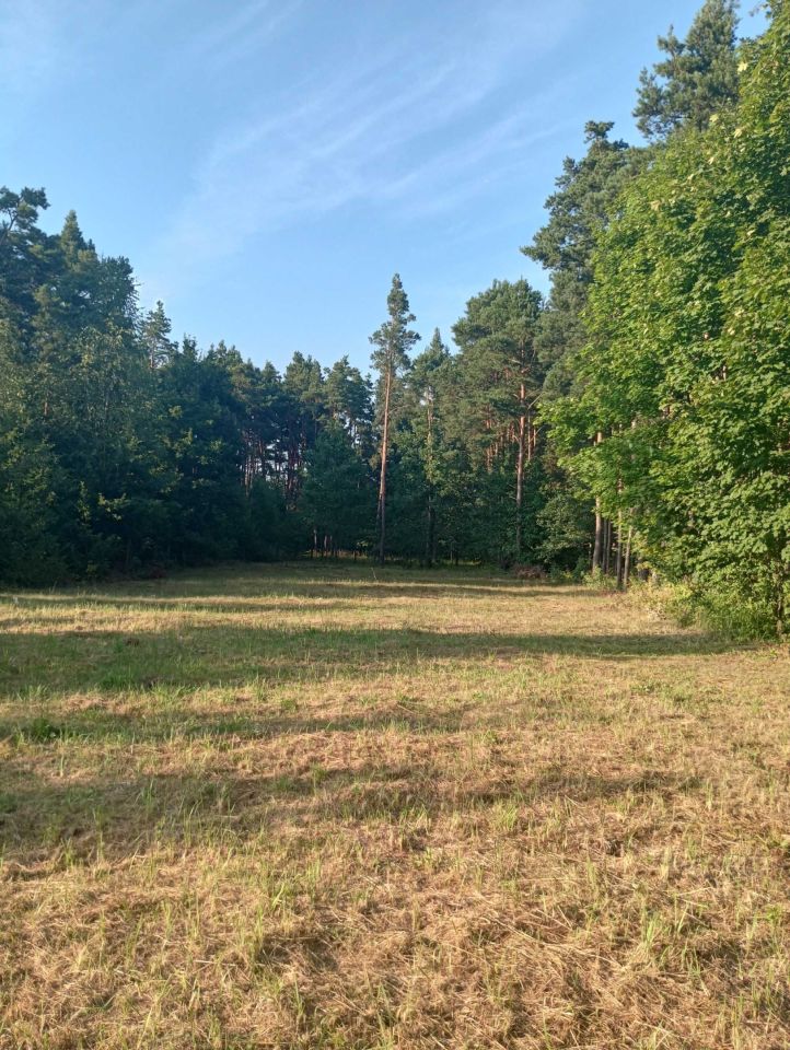 Działka rolno-budowlana Zajączków. Zdjęcie 5