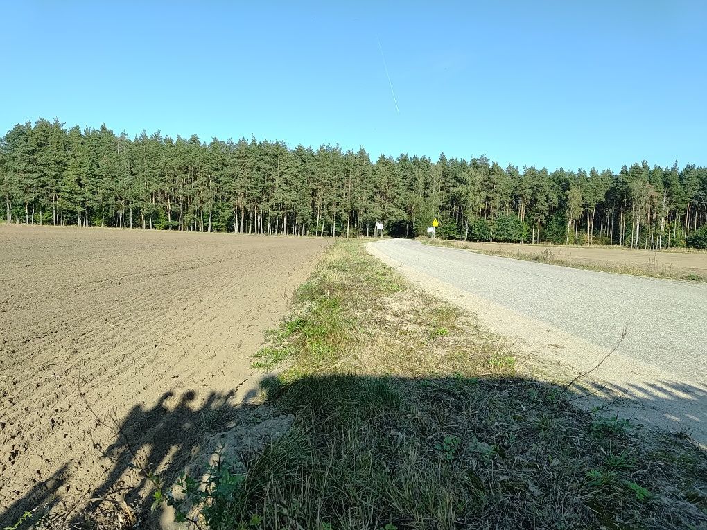 Działka budowlana Rodzone. Zdjęcie 2