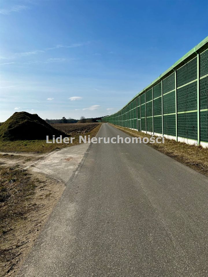 Działka inwestycyjna Piątkowisko. Zdjęcie 2
