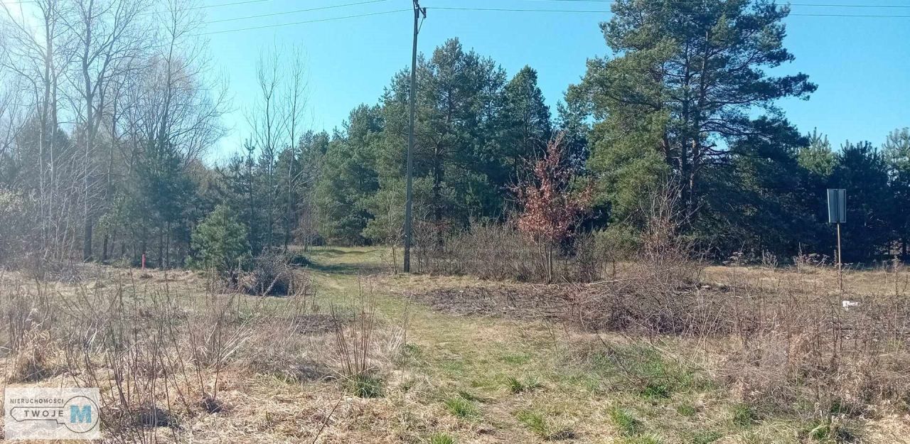 Działka leśna Morawica. Zdjęcie 8