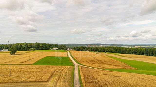 Działka inwestycyjna Milwino, ul. Rolnicza. Zdjęcie 6