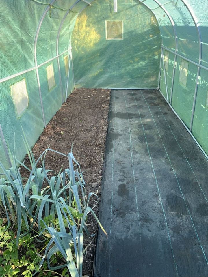 Działka rod Koszalin, ul. Dzierżęcińska. Zdjęcie 8