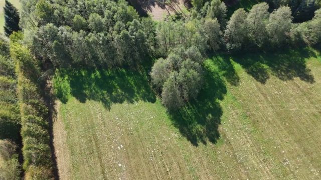Działka rolna Celinów, ul. Różana. Zdjęcie 12