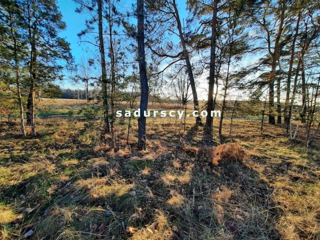 Działka budowlana Baniocha. Zdjęcie 10