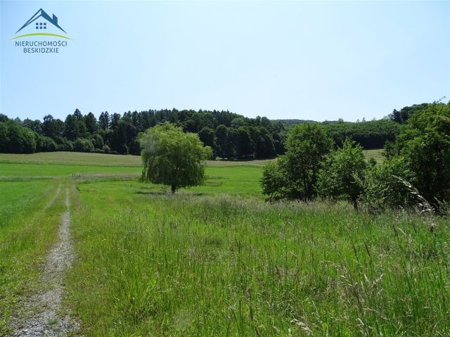 Działka rolno-budowlana Cisownica. Zdjęcie 5