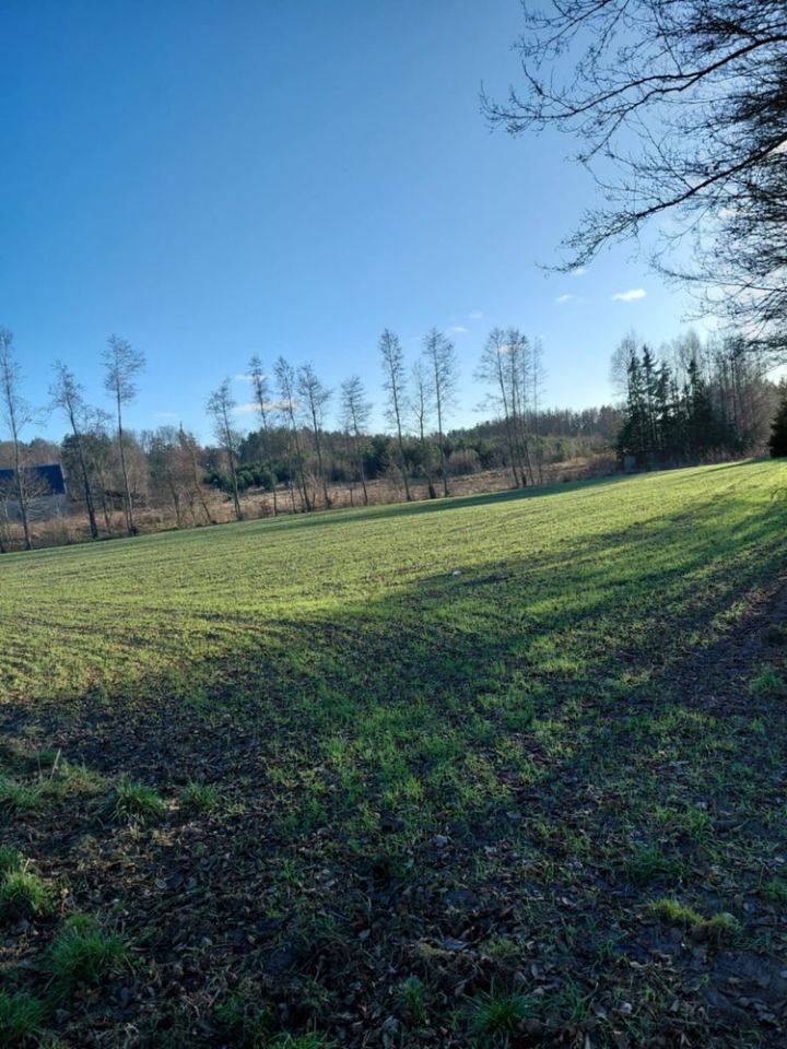 Działka budowlana Szydlice. Zdjęcie 6