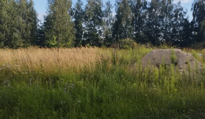 Działka budowlana Żabiczyn