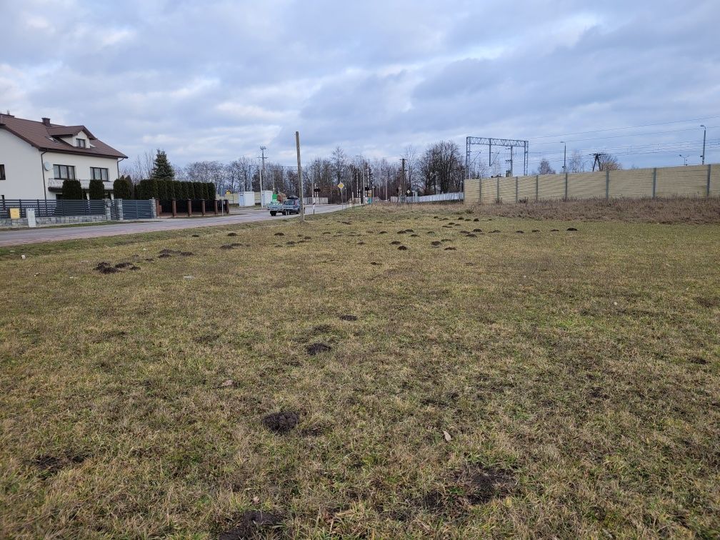 Działka rolno-budowlana Chrzęsne. Zdjęcie 7