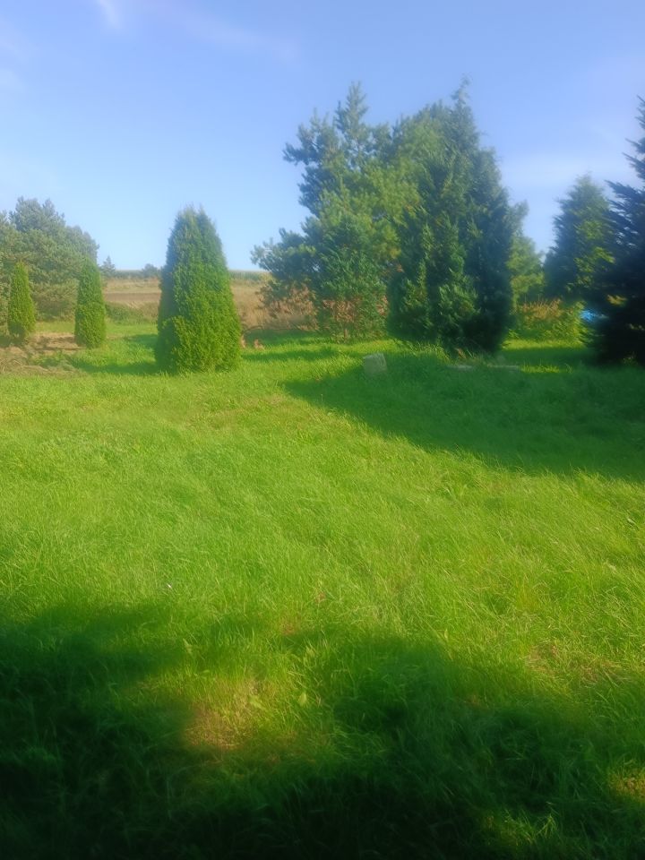 dom wolnostojący, 2 pokoje Prusinowo