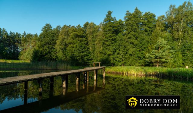 dom wolnostojący, 9 pokoi Sidory. Zdjęcie 4