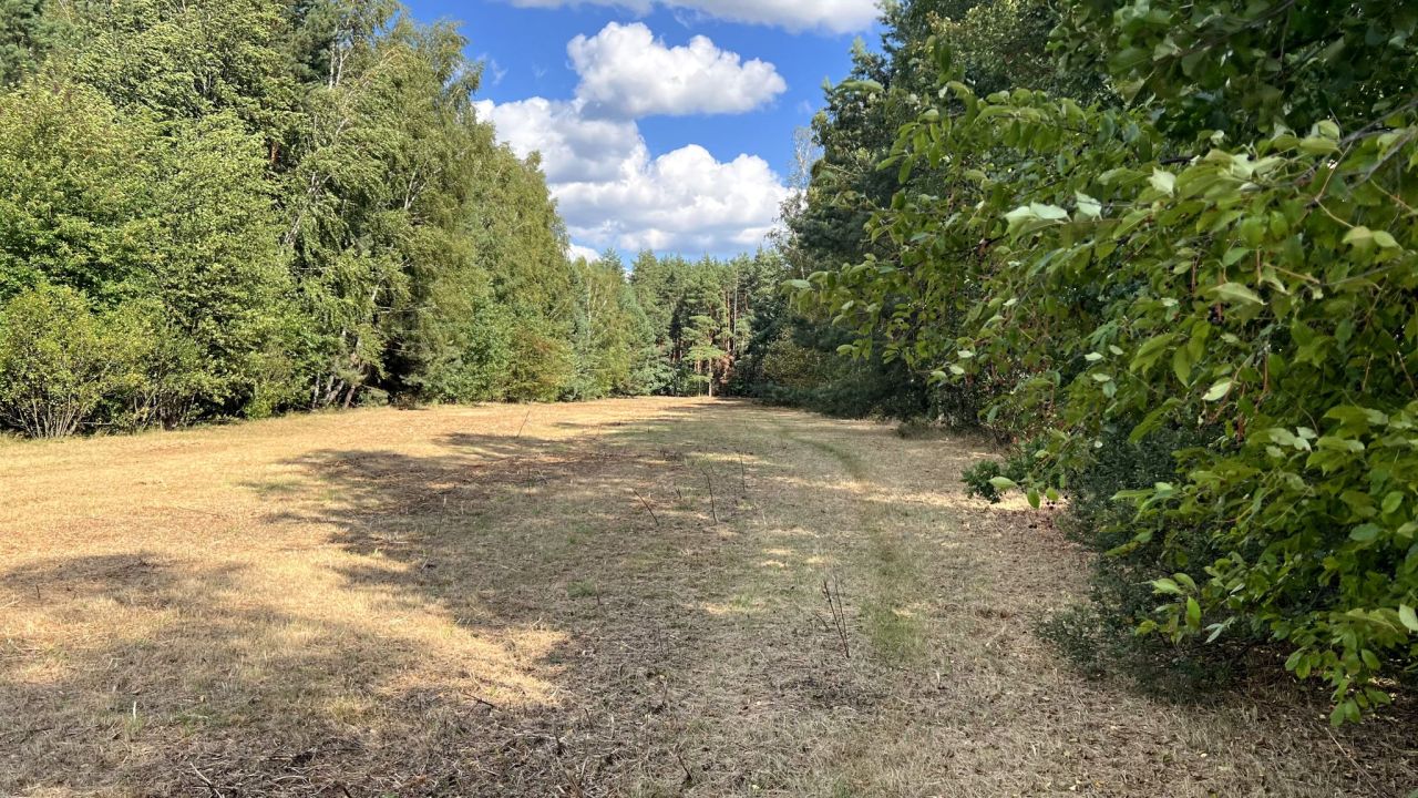 Działka rekreacyjna Mirowice, ul. Sarenki. Zdjęcie 13