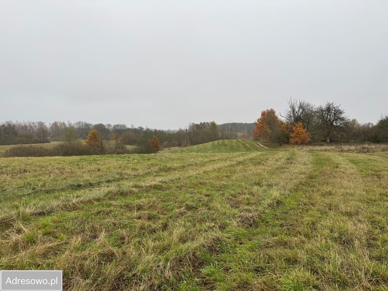 Działka budowlana Grzegrzółki. Zdjęcie 1