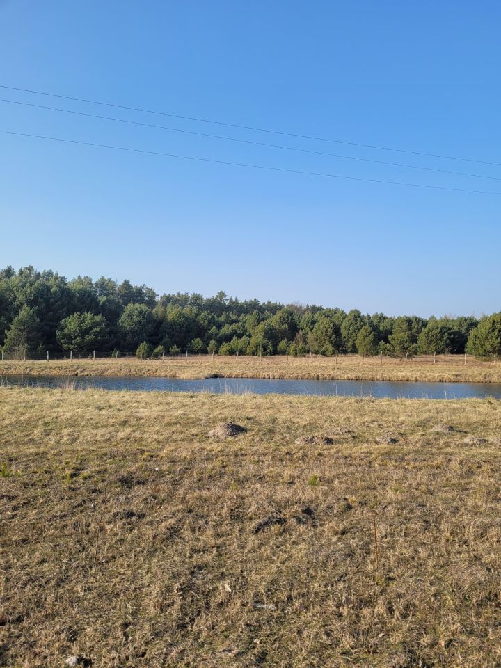 Działka budowlana Rzepinek, Krucza. Zdjęcie 5
