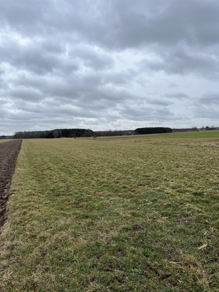 Działka rolno-budowlana Lasomin. Zdjęcie 2