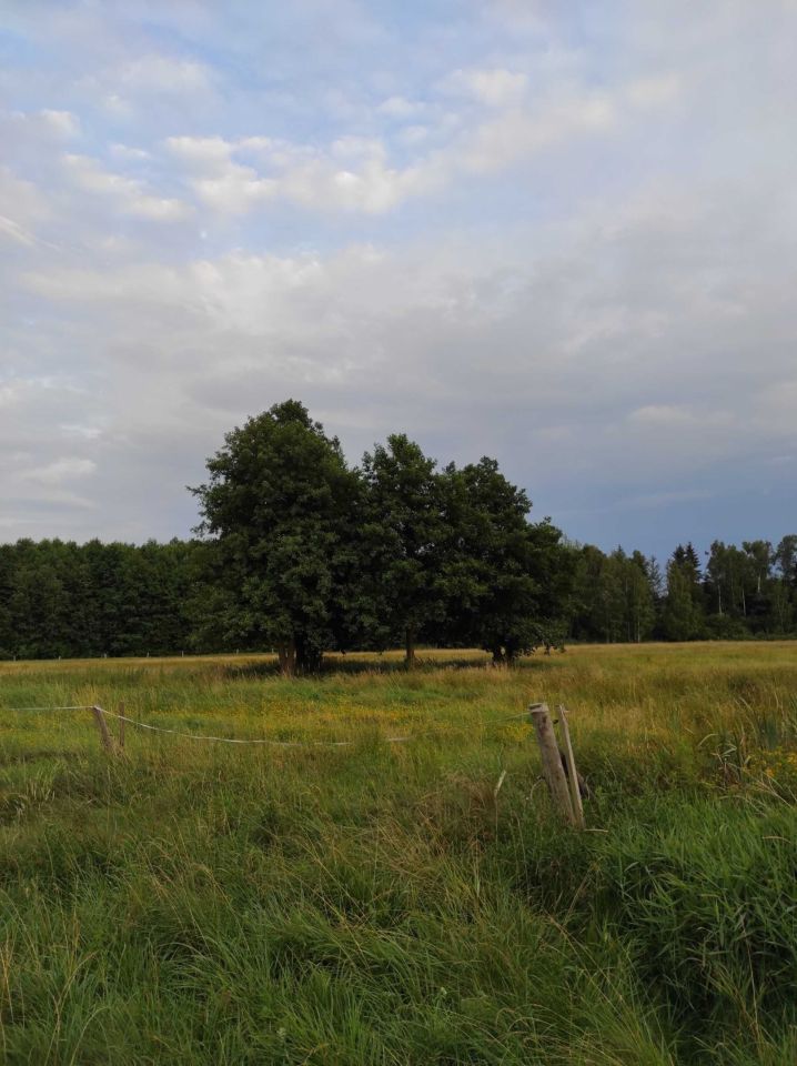 Działka rolno-budowlana Krzywczyce. Zdjęcie 3