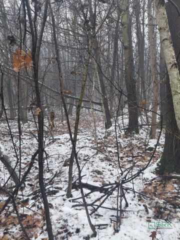 Działka inna Mysłowice Wesoła, ul. Marii Konopnickiej. Zdjęcie 5