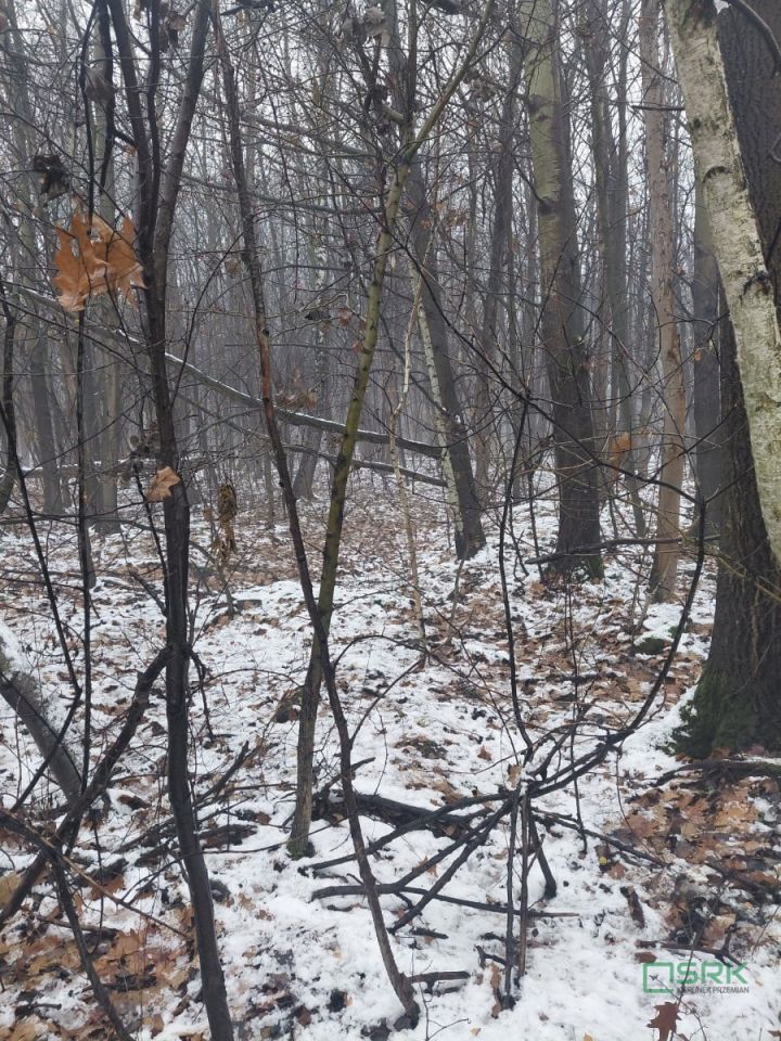 Działka inna Mysłowice Wesoła, ul. Marii Konopnickiej. Zdjęcie 5