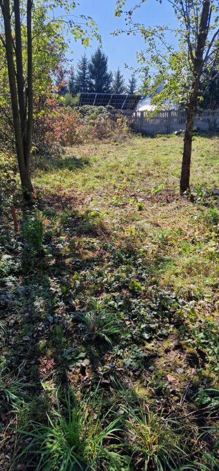 Działka budowlana Rokitno Szlacheckie, Ul. Zielona. Zdjęcie 7