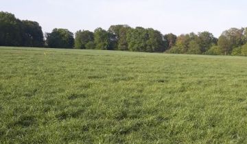 Działka budowlana Kolno