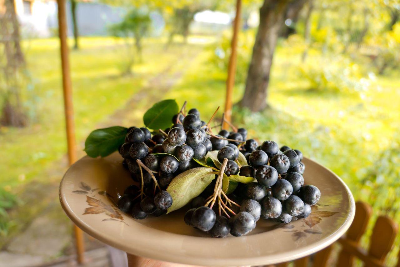 Działka budowlana Kozy Folwark, ul. Jemioły. Zdjęcie 8