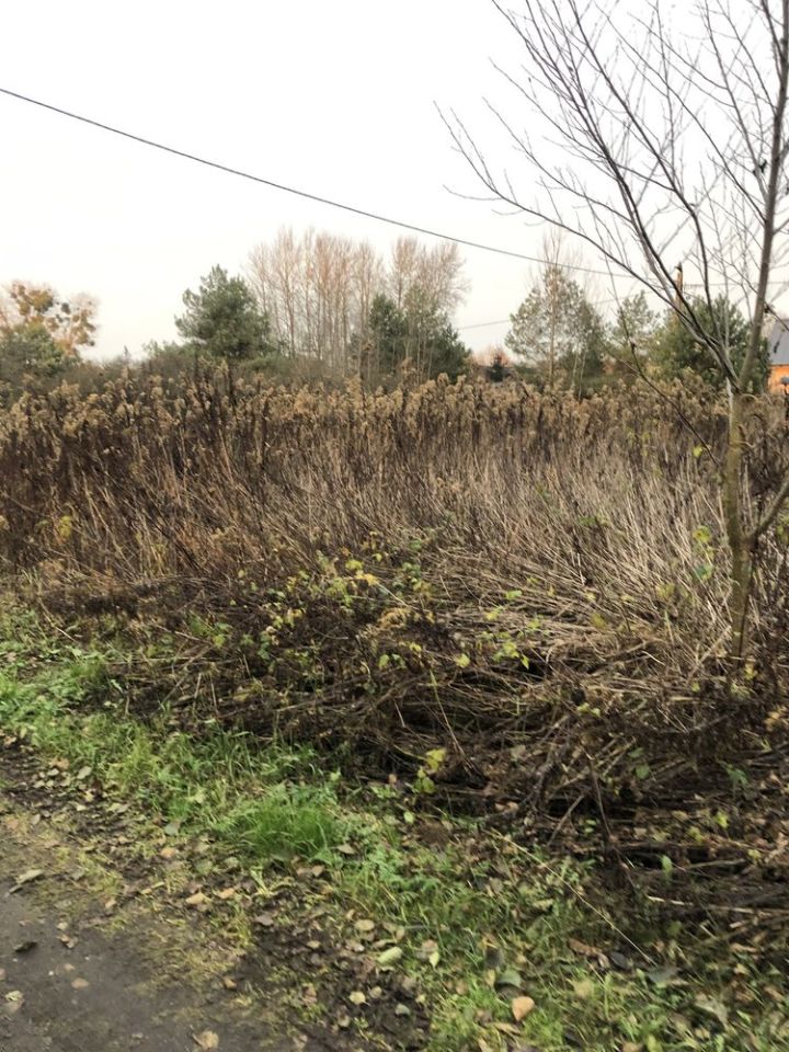 Działka budowlana Czarne Błoto. Zdjęcie 3