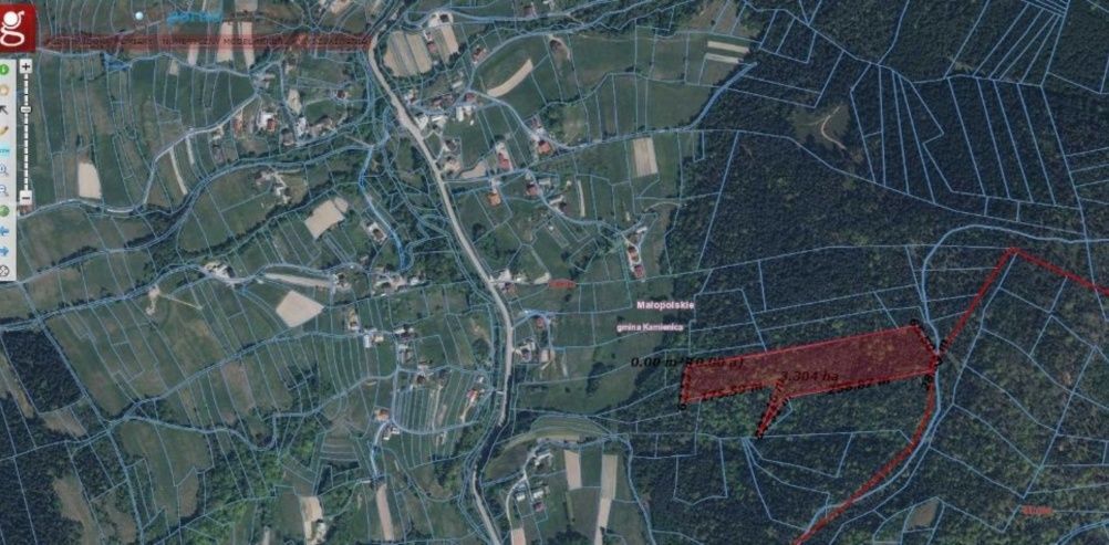 Działka leśna Zalesie. Zdjęcie 2