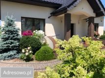 dom wolnostojący, 5 pokoi Świeszewo. Zdjęcie 1