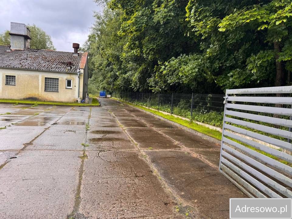 Hala/magazyn Elbląg, ul. Eugeniusza Kwiatkowskiego. Zdjęcie 5