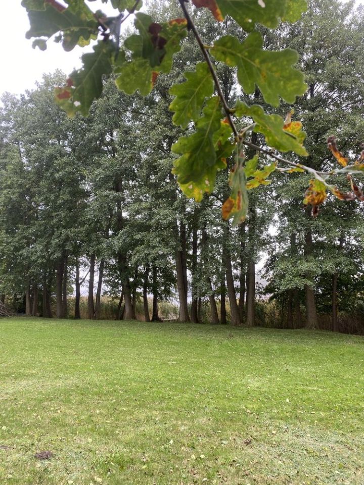 Działka rolno-budowlana Ługowo. Zdjęcie 8