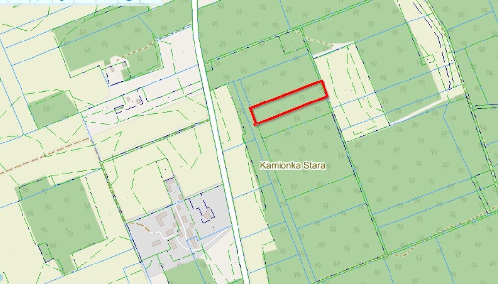 Działka leśna Kamionka Stara. Zdjęcie 4