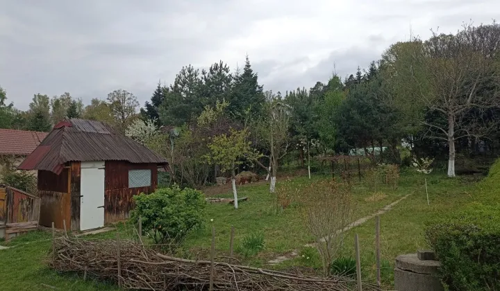 Działka rod Racibórz Brzezie