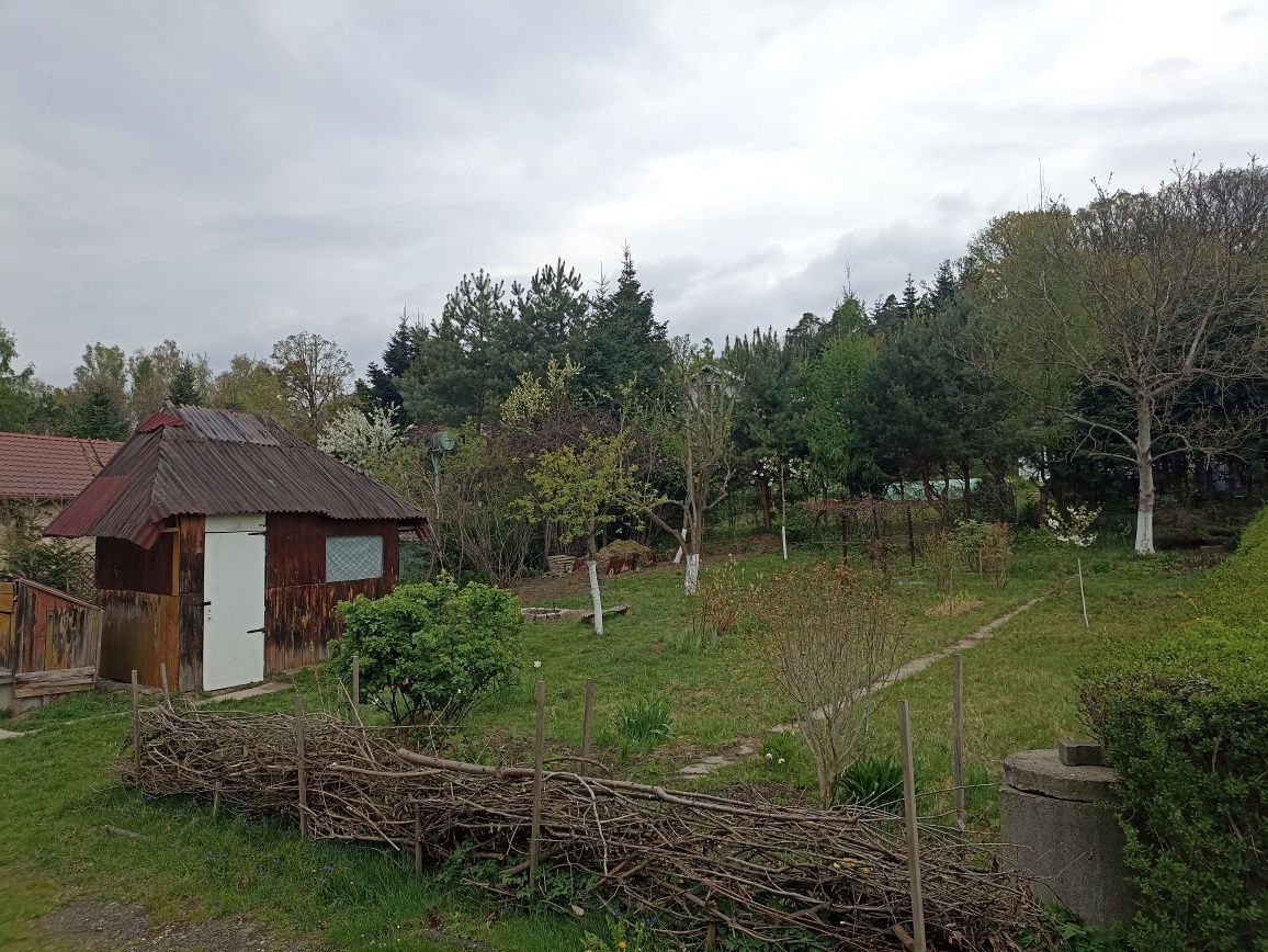 Działka rod Racibórz Brzezie. Zdjęcie 1