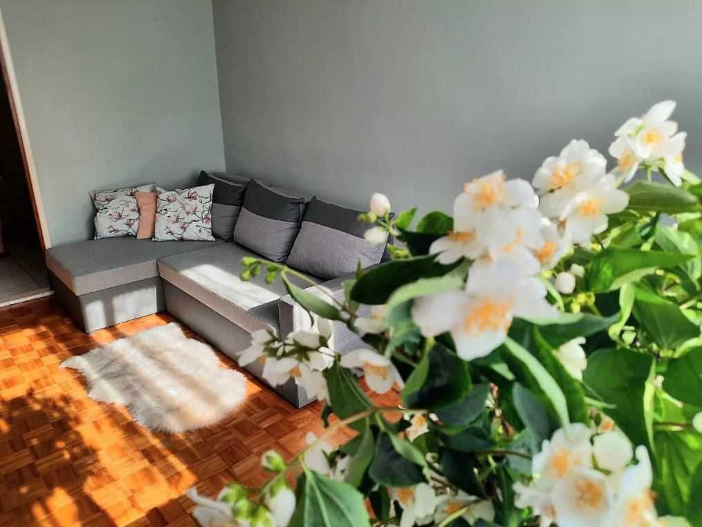 Mieszkanie 2-pokojowe Białystok Antoniuk, ul. Narewska. Zdjęcie 4