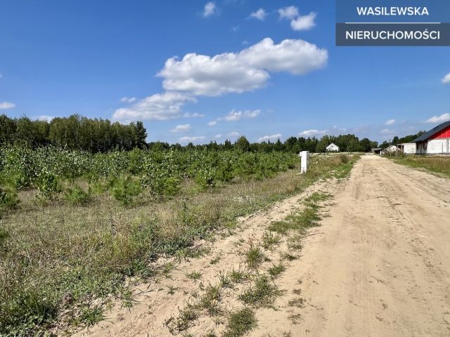 Działka budowlana Rząśnik Szlachecki. Zdjęcie 6