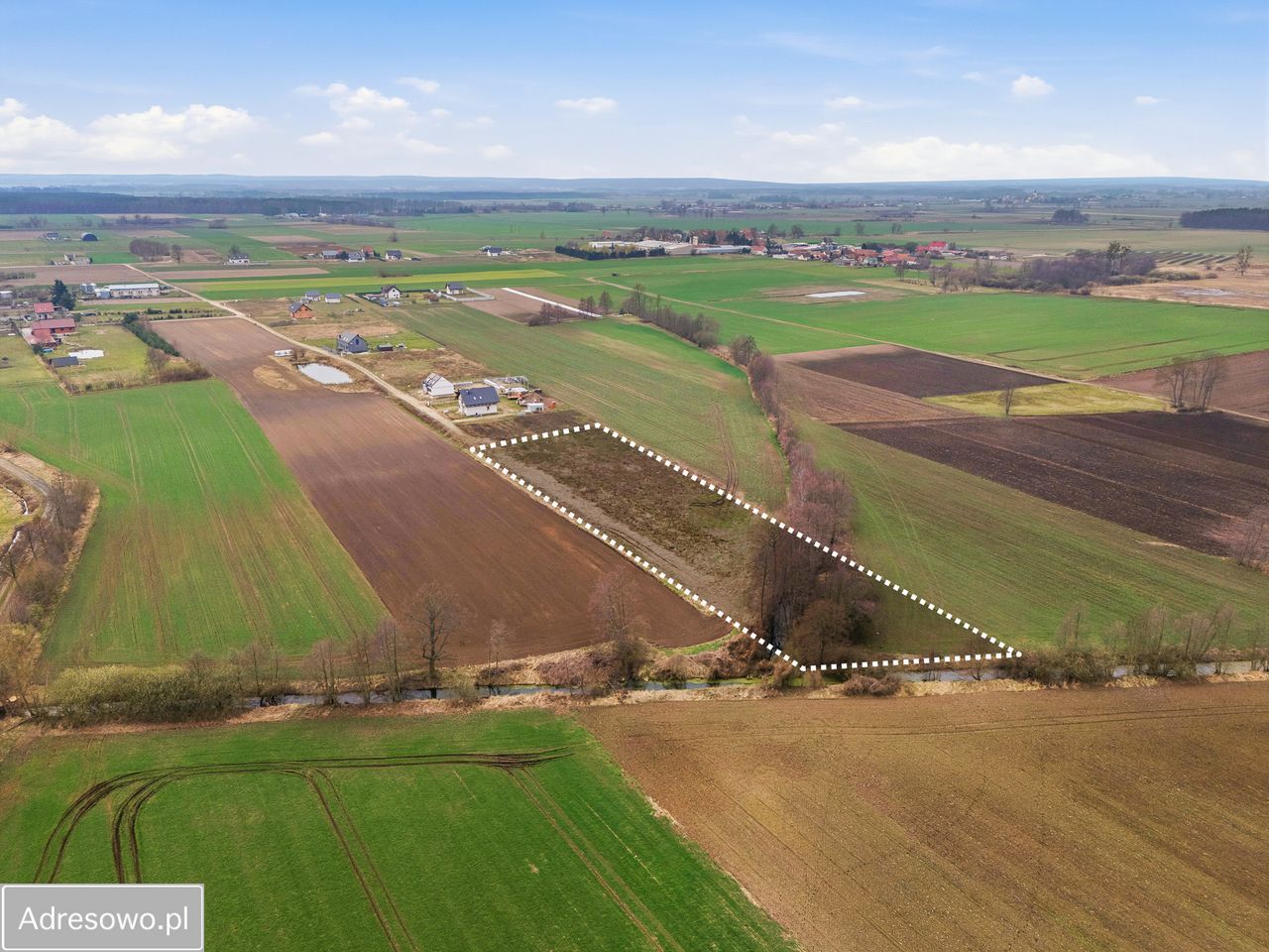 Działka siedliskowa Bychowo. Zdjęcie 3