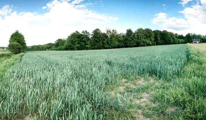 Działka budowlana Zamarski, ul. Czarne Doły