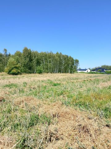 Działka budowlana Lipno. Zdjęcie 1