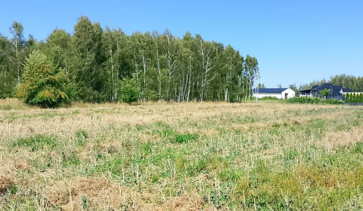 Działka budowlana Lipno